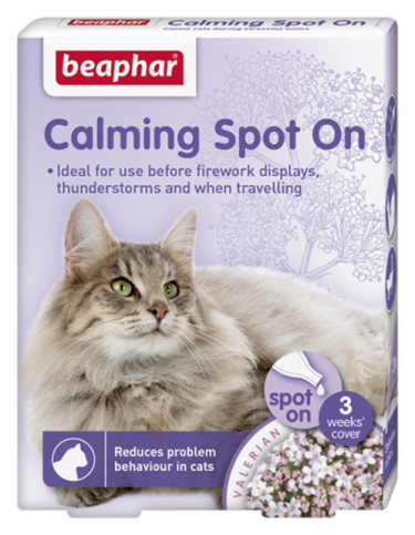 Calming Spot on Cat